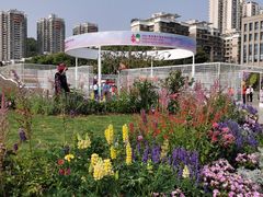 -深圳国际园林花卉博览园