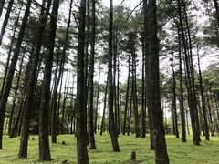 -石棉县孟获城