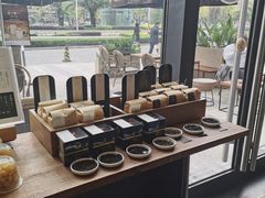 -去茶山