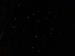 -怀托摩萤火虫洞