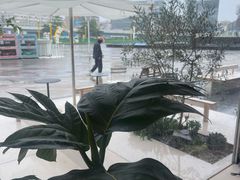 -喜茶(珠海华发商都店)