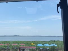 -七的湖·晚芳亭·阳澄湖农家菜·大闸蟹(莲花岛店)
