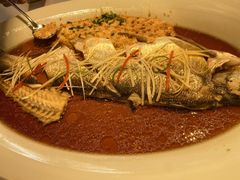 -丹江渔村(望京店)