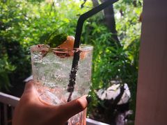 荔枝玫瑰苏打-Fern Forest Cafe