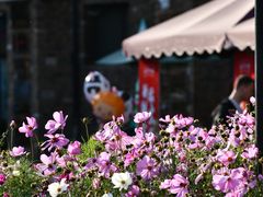 -太舞滑雪小镇