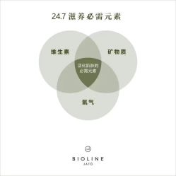 点击看大图 -玛莲朵·海菲秀冰珀科