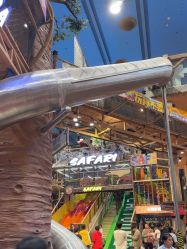 -卡通尼·Safari非洲探索乐园·生日会(金桥国际商业广场店)