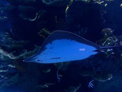 -欢乐海岸海洋奇梦馆