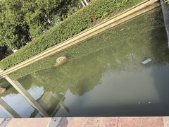 -南京市江宁方山