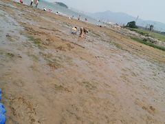 -在海一方公园