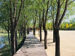 -东郊湿地公园