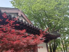 -郑和公园