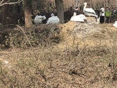 -无锡动物园·太湖欢乐园