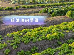 -前小桔亲子创意农场·草莓采摘·露营烧烤
