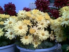 景点-人民防洪胜利纪念塔