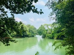 -西溪国家湿地公园