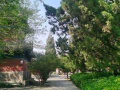 -大钟寺古钟博物馆