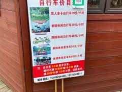 -空港花田景区