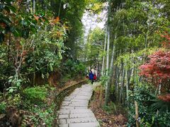 -塔川景区