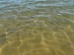 -碧海金沙