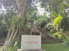 -桂湖森林公园