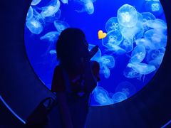 -成都浩海立方海洋公园