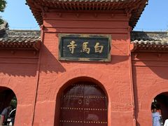 -老雒阳面馆·水席·洛阳菜(纱厂路店)