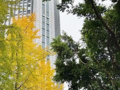 -海关荤豆花(洋河一路店)