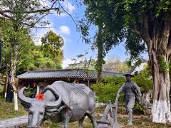-广州神农草堂中医药博物馆