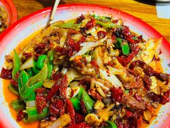 -柴窝堡22号辣子鸡·传承新疆菜