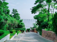 -金沙滩度假村