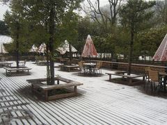 2011年的雪。。-九龙湾·御膳坊(九龙窠路店)