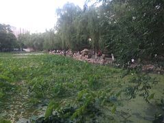-莲湖公园