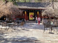 -大觉寺-停车场