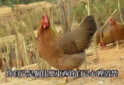 -卡尔诗·科技美肤连锁