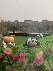 -卓玥国际月子会所(罗山路店)