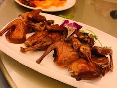红烧乳鸽-沙龙酒家