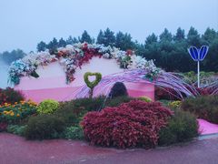 -荷兰花海