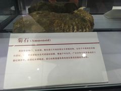 -中国第四纪冰川遗迹陈列馆