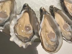 -Oyster Talks 四度蚝法餐厅