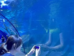 -太平洋海底世界