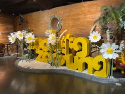 -Zoolung Zoolung动物主题公园(海信广场店)