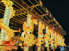 -武汉园博园(武汉自然博物馆)