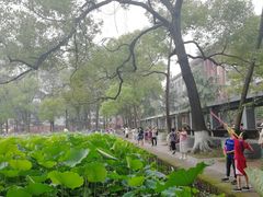 -四川大学(望江校区)