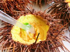 海胆蒸蛋-海岛渔村大酒店(云霄路店)