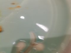 -八闽饭店闽南小镇(铁西店)