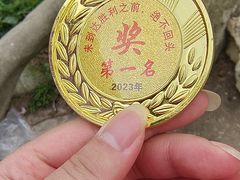 -梧桐山风景名胜区