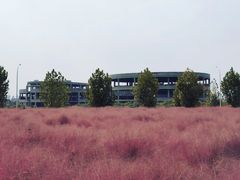-映月湖中央公园