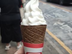-富豪雪糕车流动点(尖沙咀店)