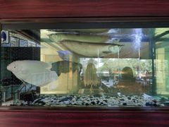 -厦门悦华酒店